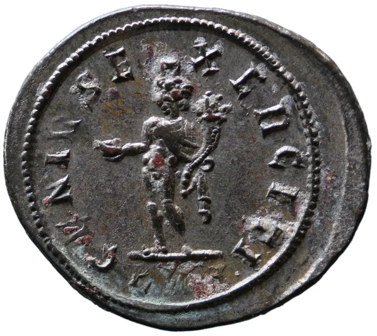 Carinus