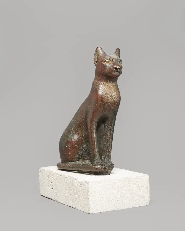 Sitzende Katze