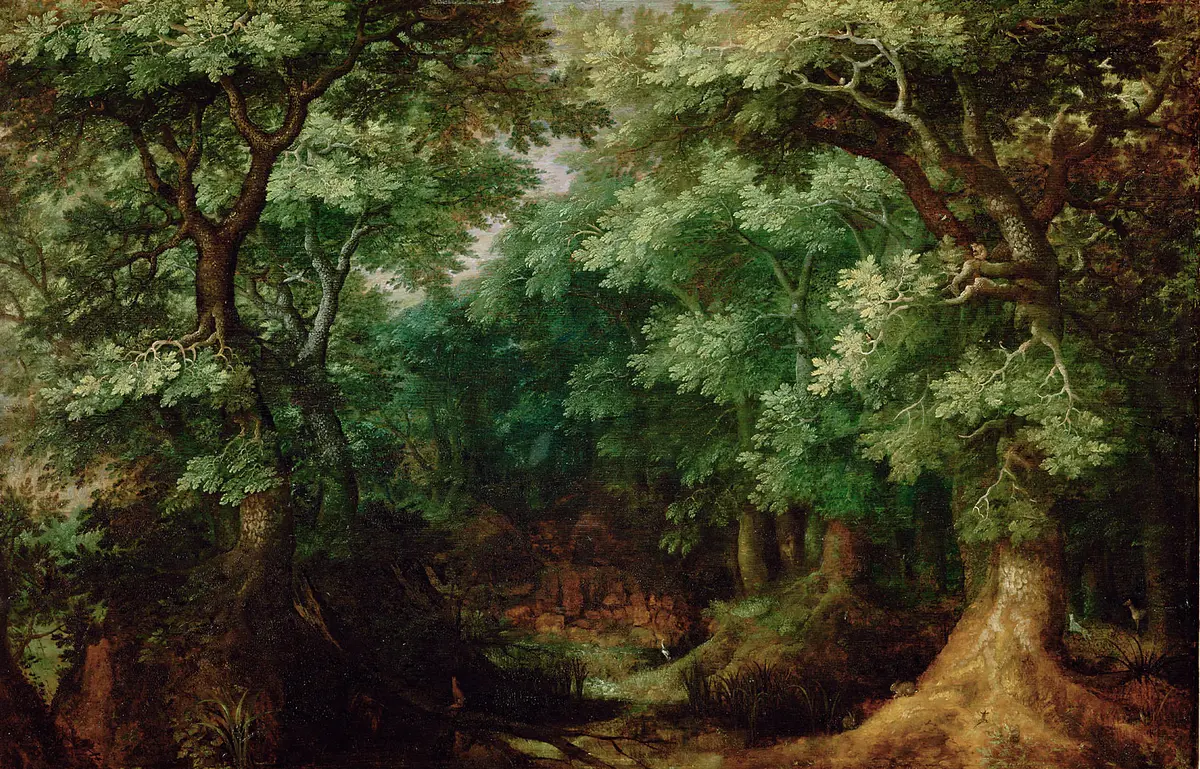 Waldlandschaft