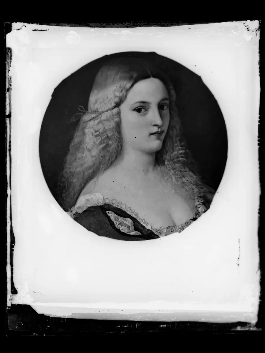 Violante