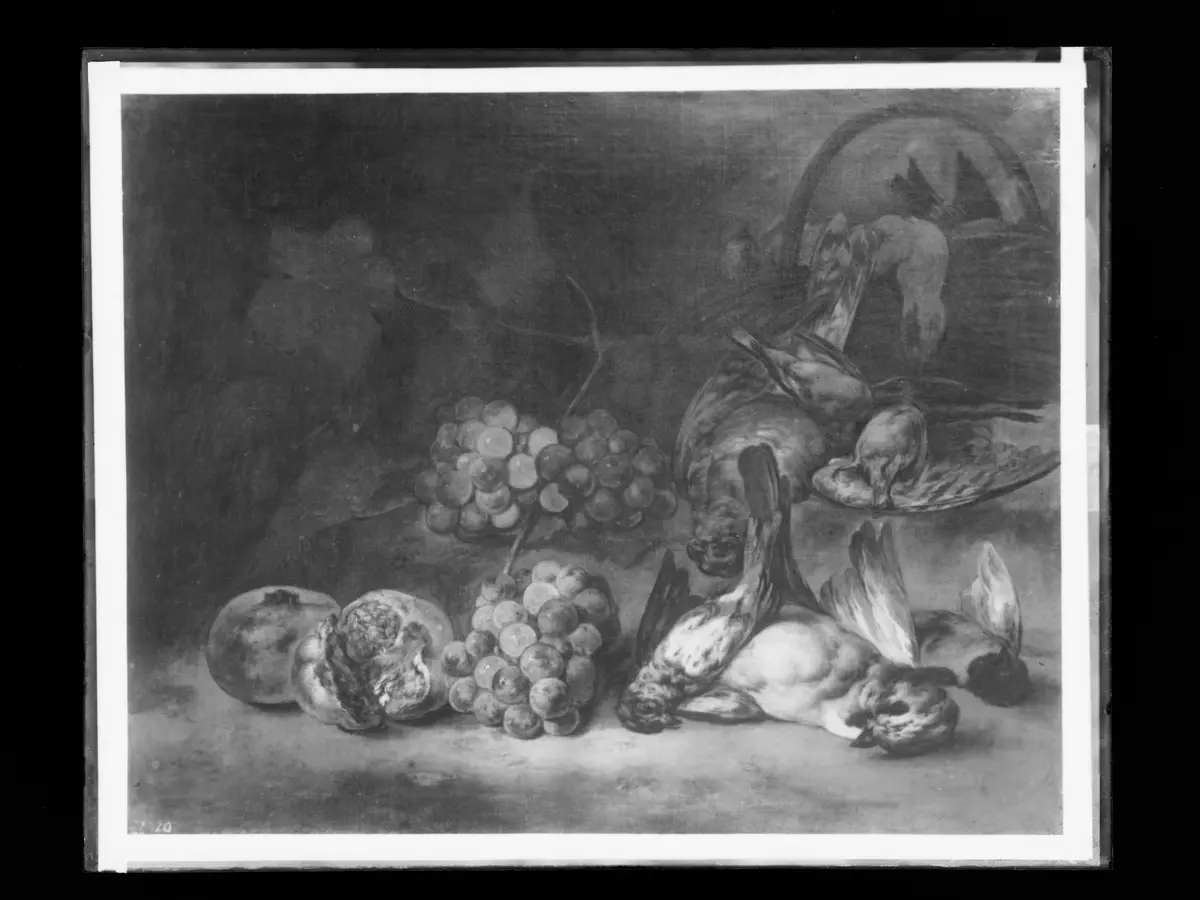 Stillleben mit toten Vögeln, Trauben und Granatäpfeln