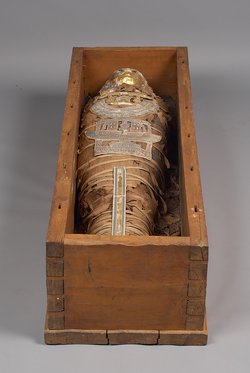 Unterteil des Kastensarges des An-em-her mit Mumie und Teilkartonage