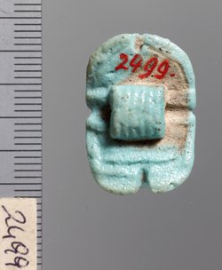 Mumienskarabäus
