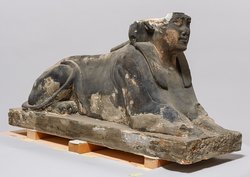 Serapeumssphinx