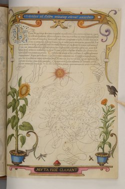 Schriftmusterbuch; 127 Blatt Pergament