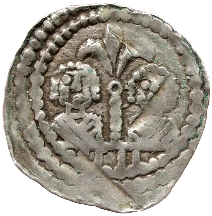 Herzöge von Kärnten / Herren von Krain: Bernhard (1202–1256)