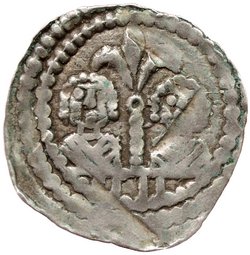 Herzöge von Kärnten / Herren von Krain: Bernhard (1202–1256)