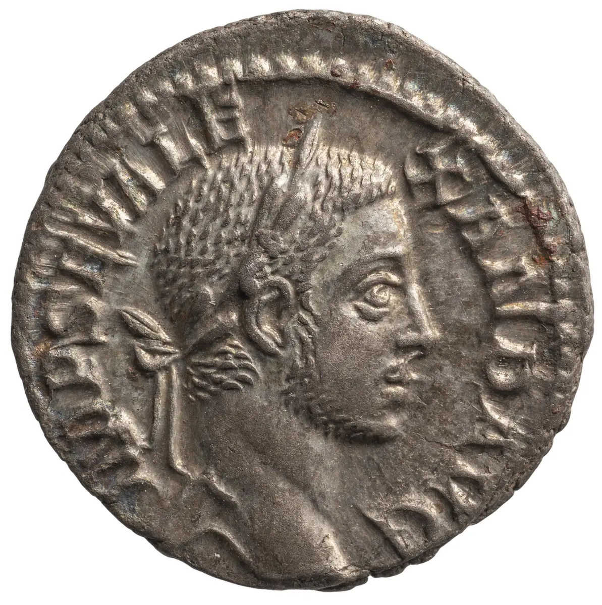 Severus Alexander