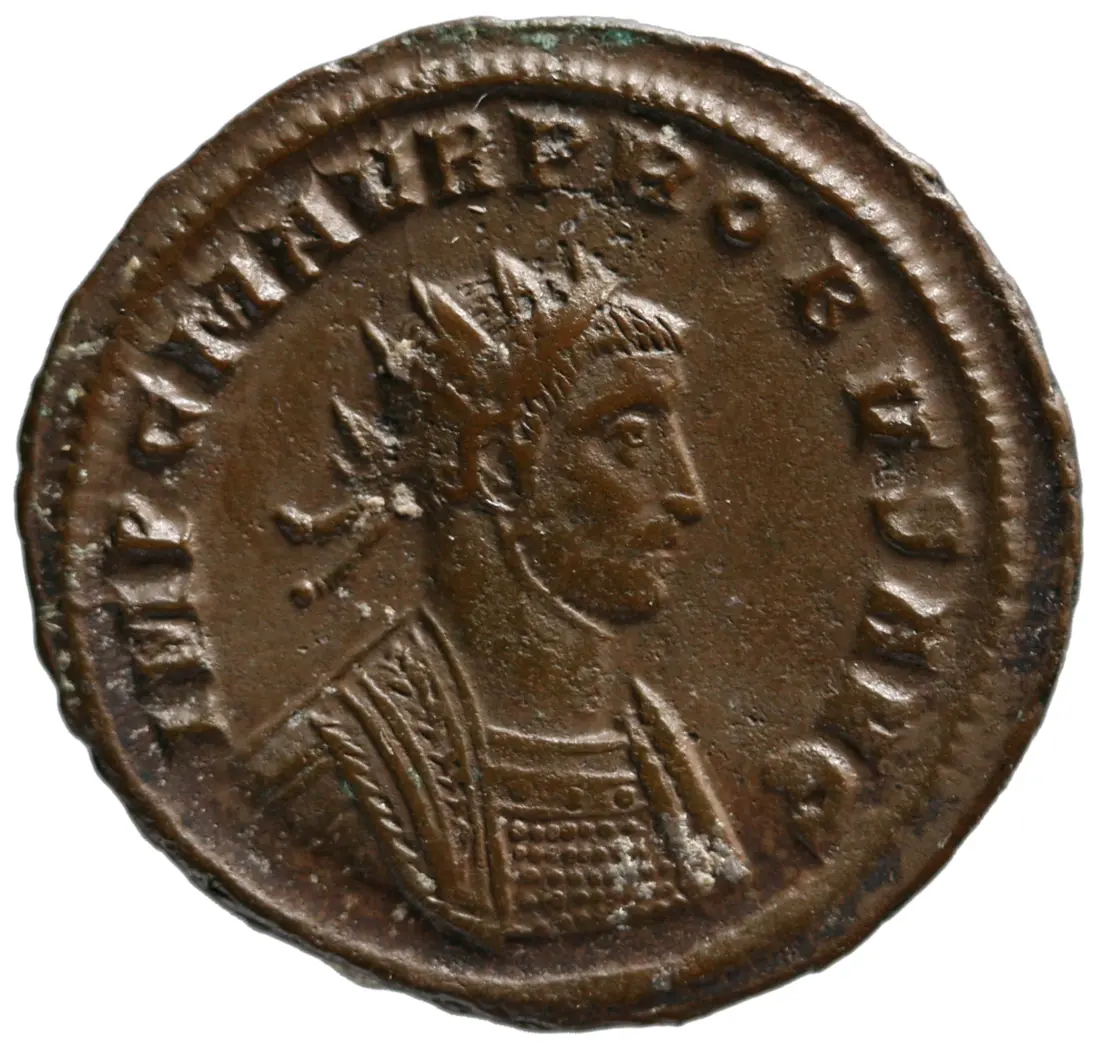 Probus