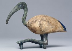 Sitzender Ibis