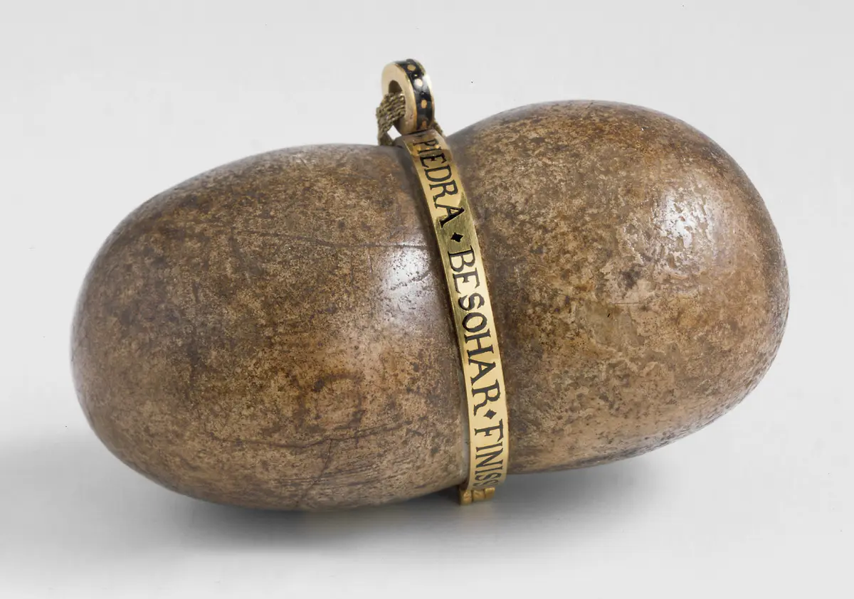 Bezoar mit Goldring und Inschrift