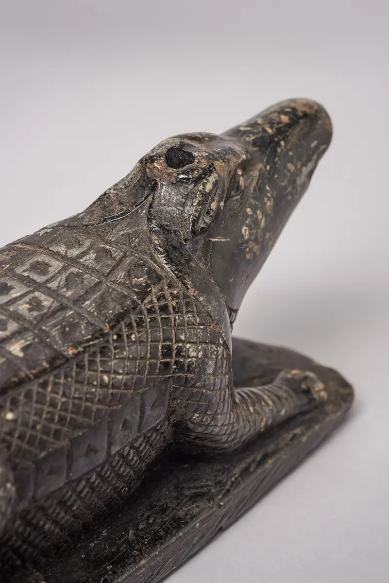 Krokodil