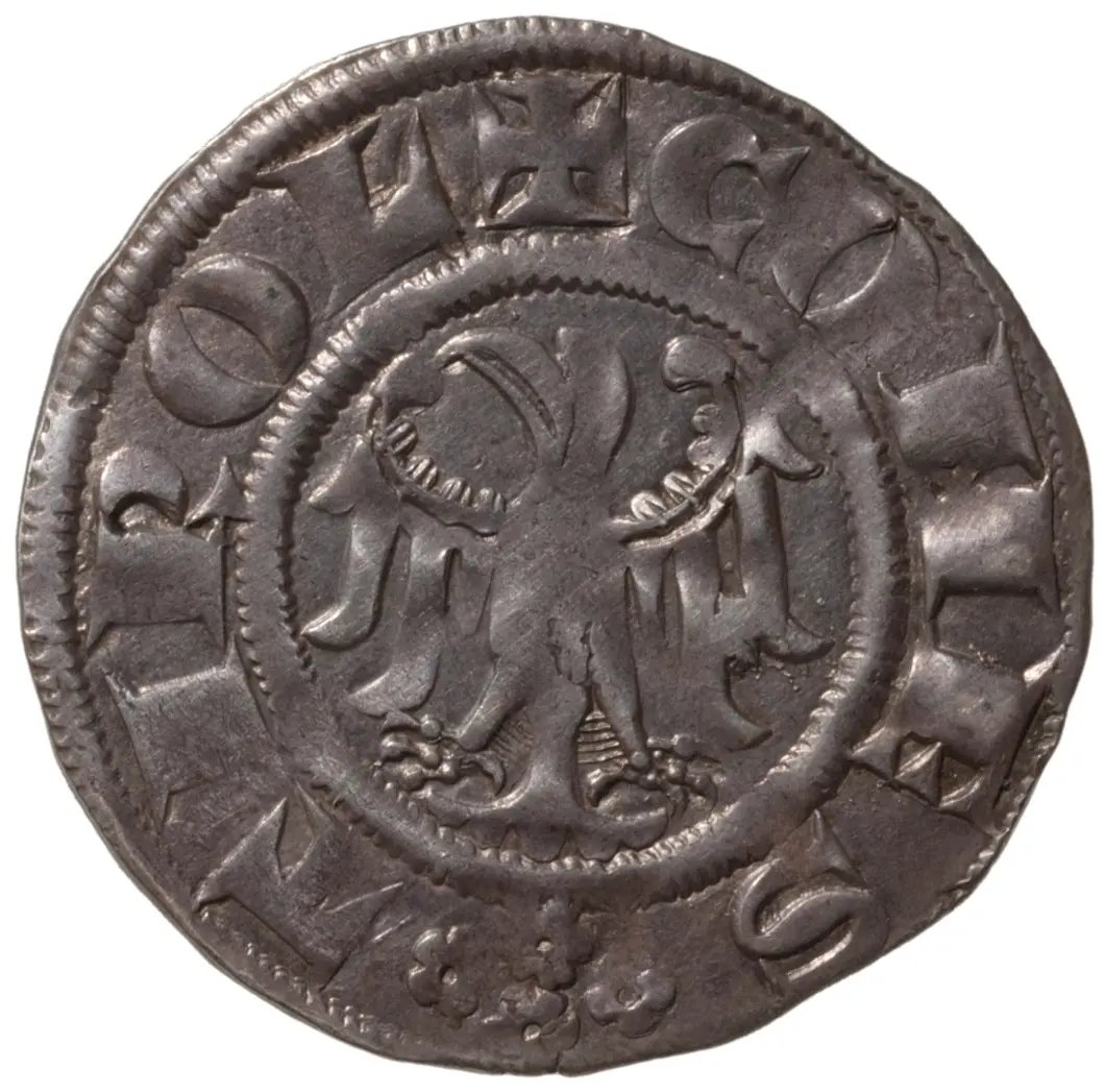 Grafen von Tirol: Meinhard II. (1258–1295)