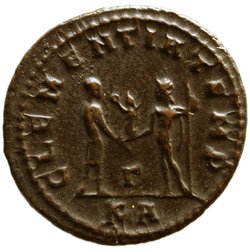 Probus