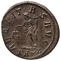 Carinus