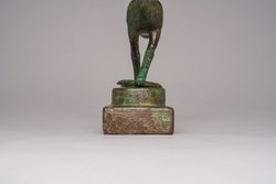 Schreitender Ibis