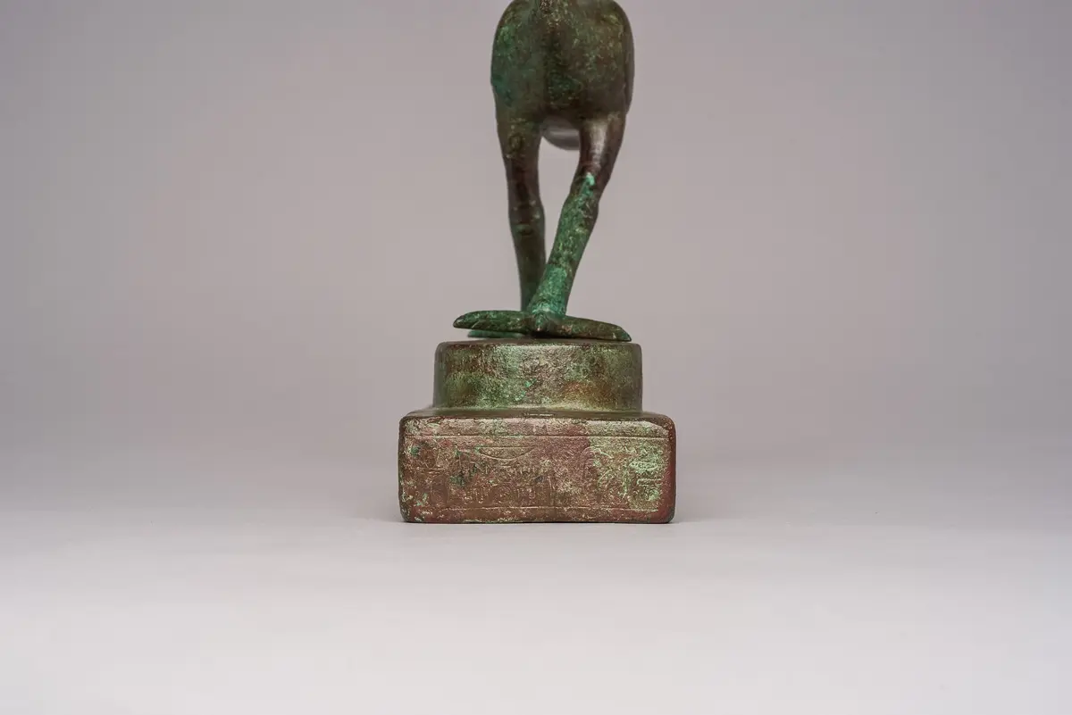 Schreitender Ibis