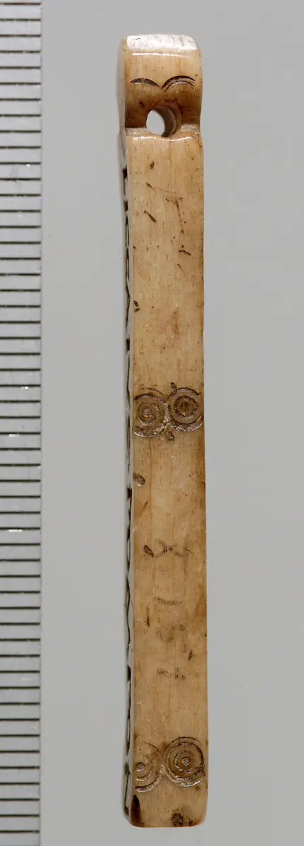 Tessera nummularia