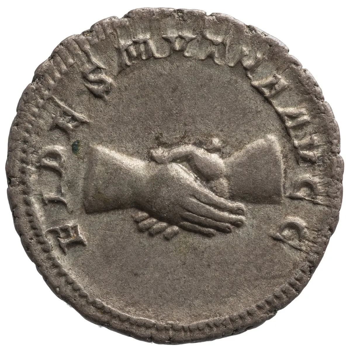 Balbinus