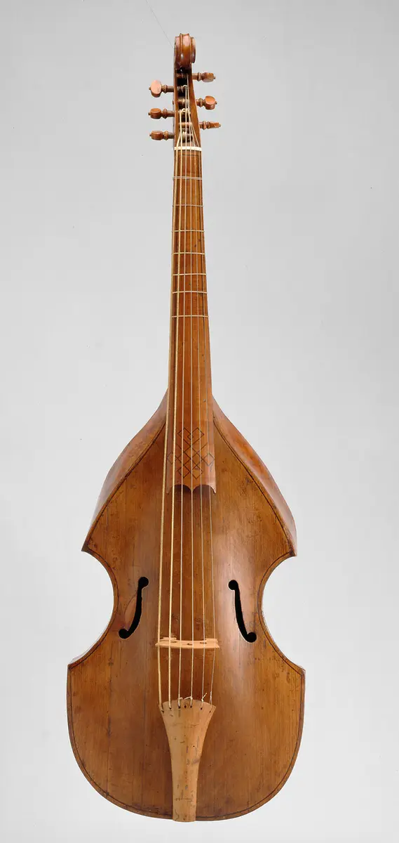 Viola da gamba (viol)