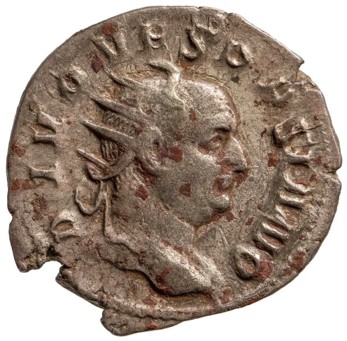 Divus Vespasianus