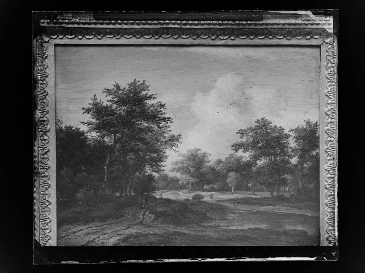 Kleine Waldlandschaft