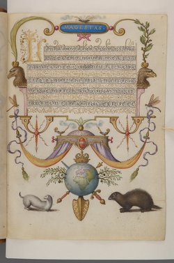 Schriftmusterbuch; 127 Blatt Pergament