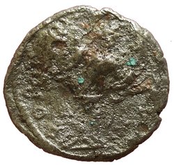Septimius Severus (Falsum)