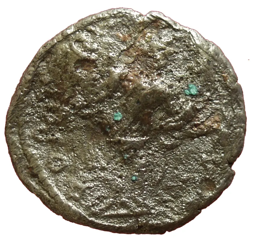 Septimius Severus (Falsum)