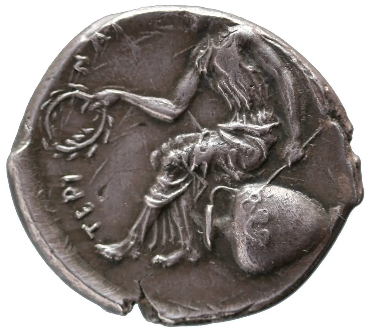 Terina