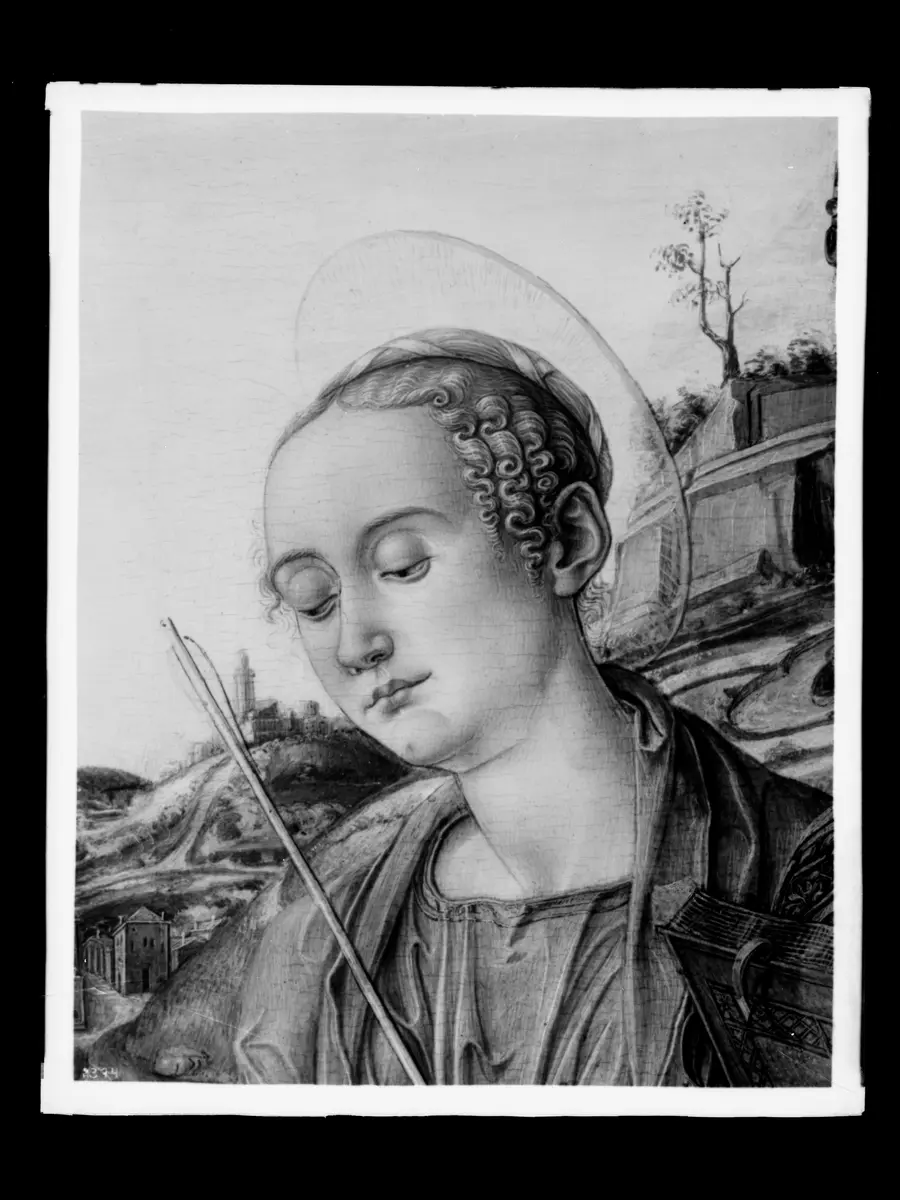 Altarwerk: Madonna mit Heiligen