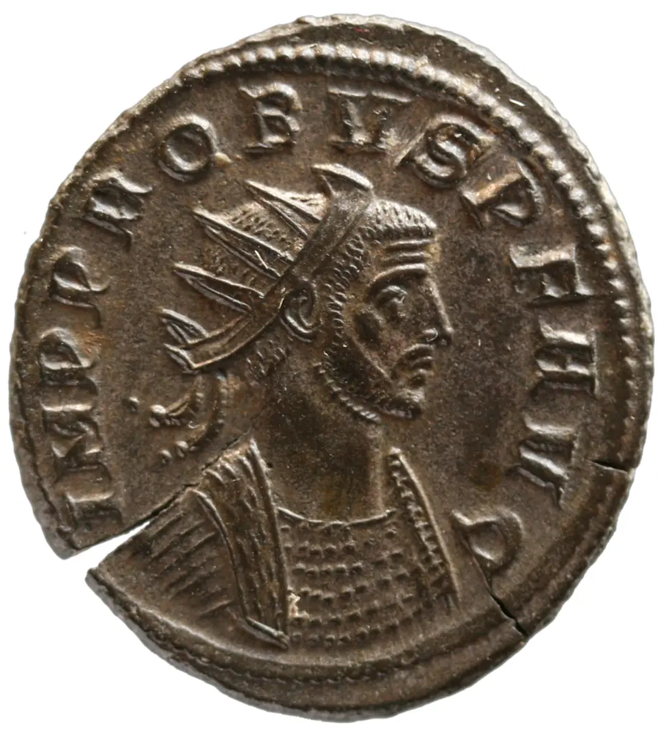 Probus