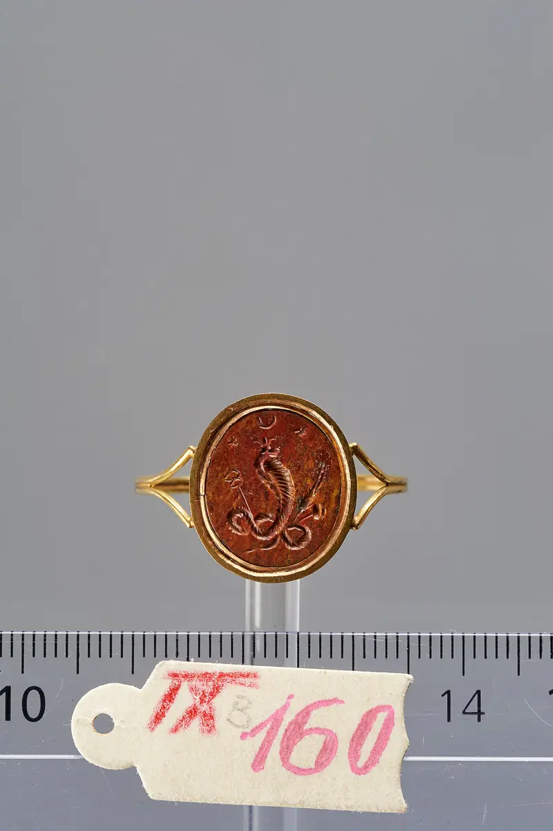 Uräusschlange (Aspis)