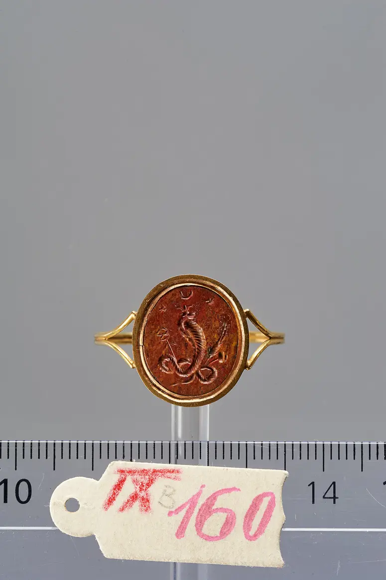 Uräusschlange (Aspis)