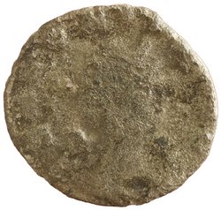 Salonina
