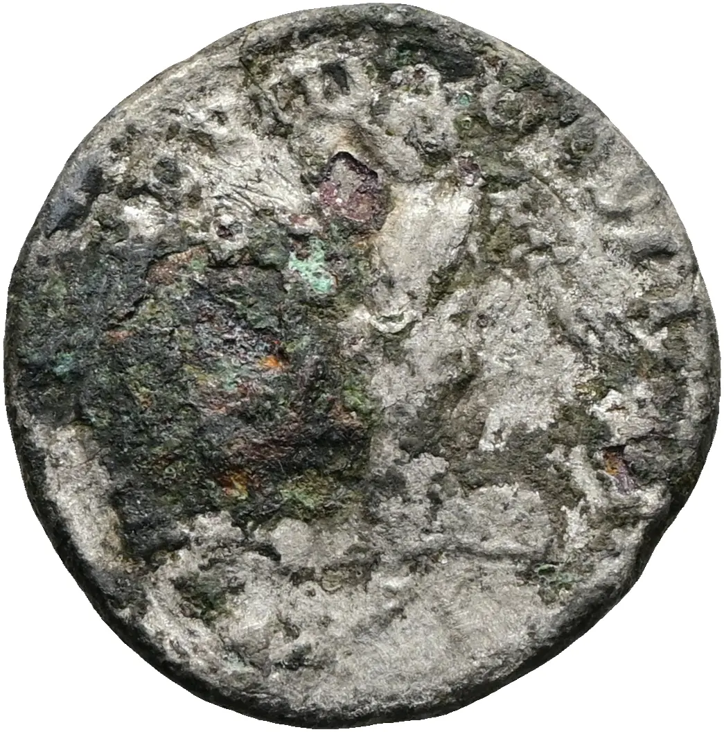 Septimius Severus (Falsum)