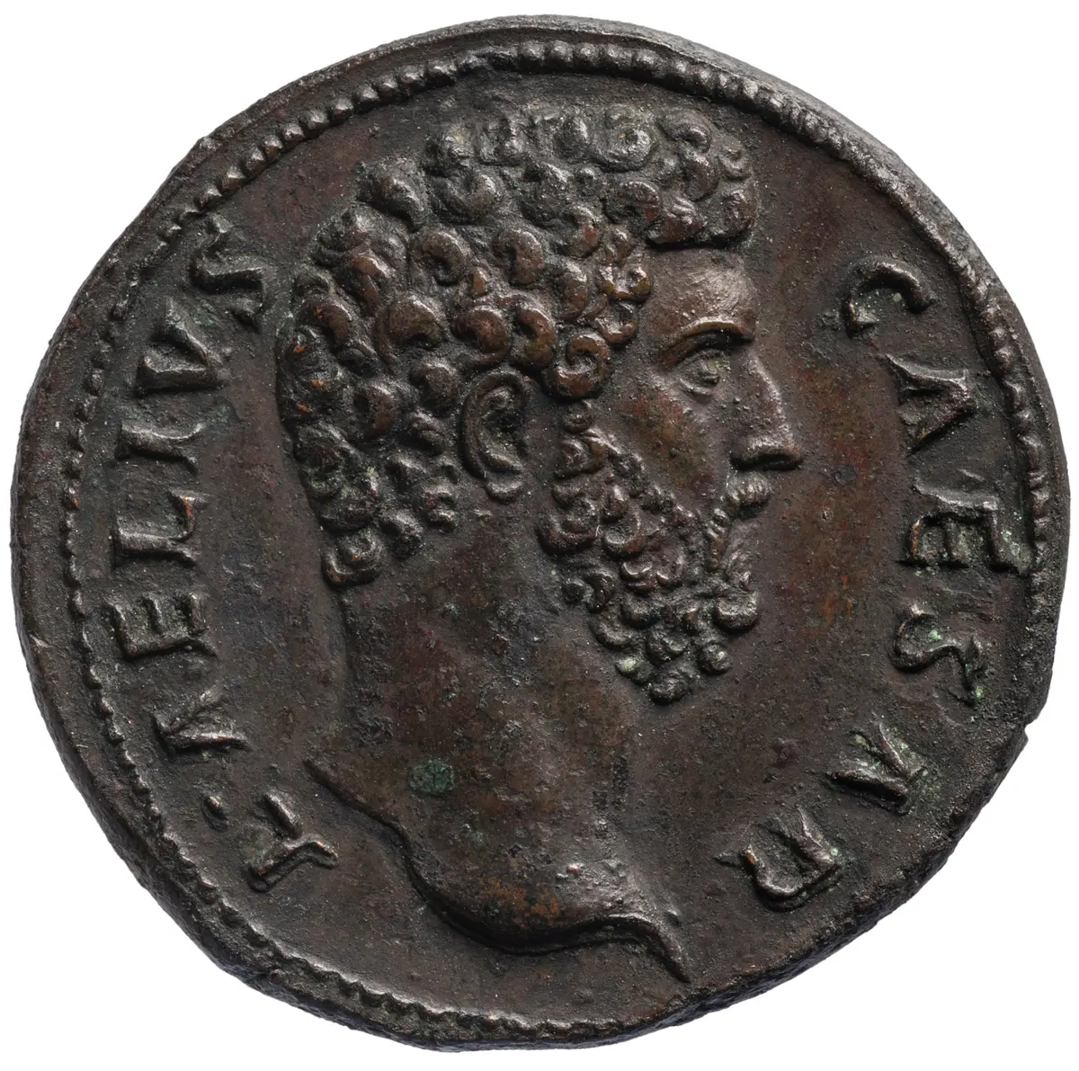Lucius Aelius