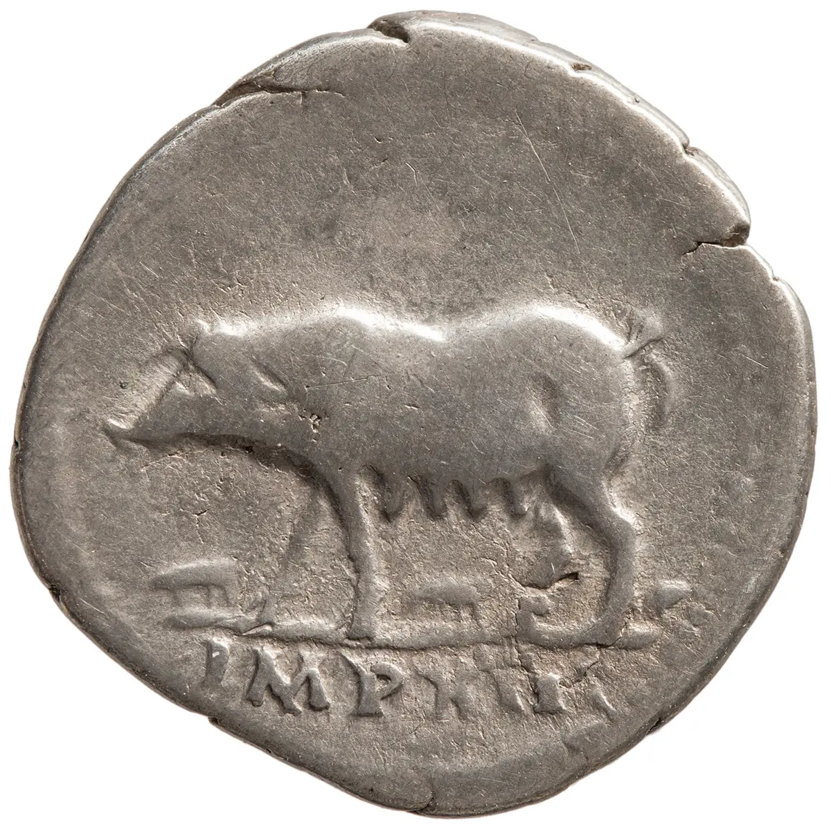 Vespasianus für Titus