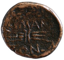Amantia