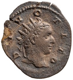 Divus Titus