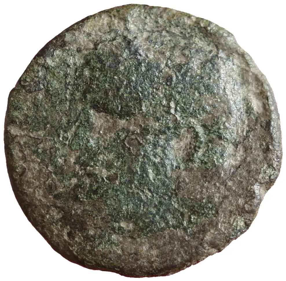 Caius (Caligula) für Agrippa