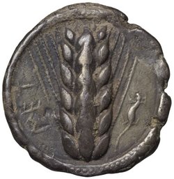 Metapont