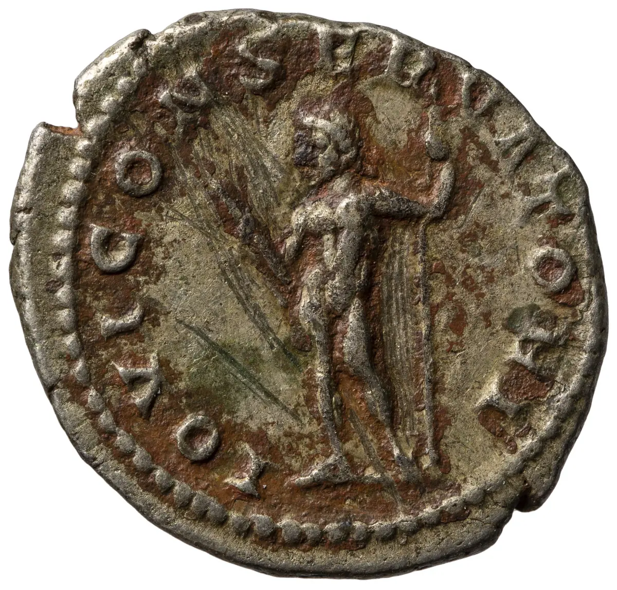 Macrinus