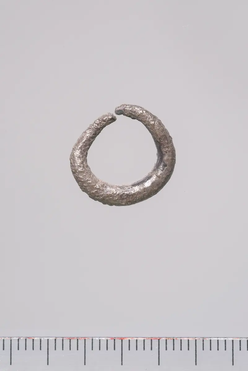 Ohrring