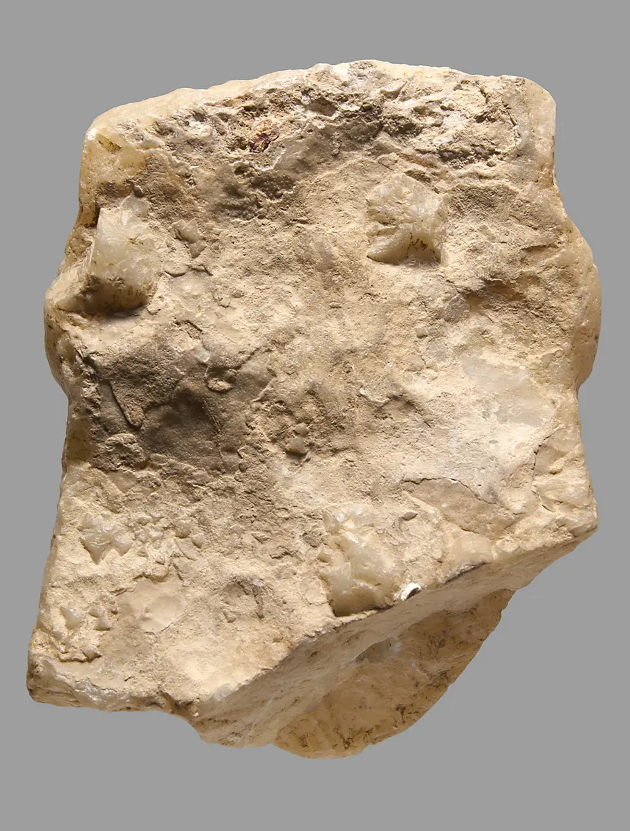 Große Kopfstele