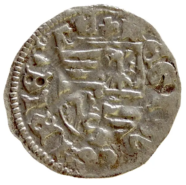 Könige von Ungarn: Sigismund