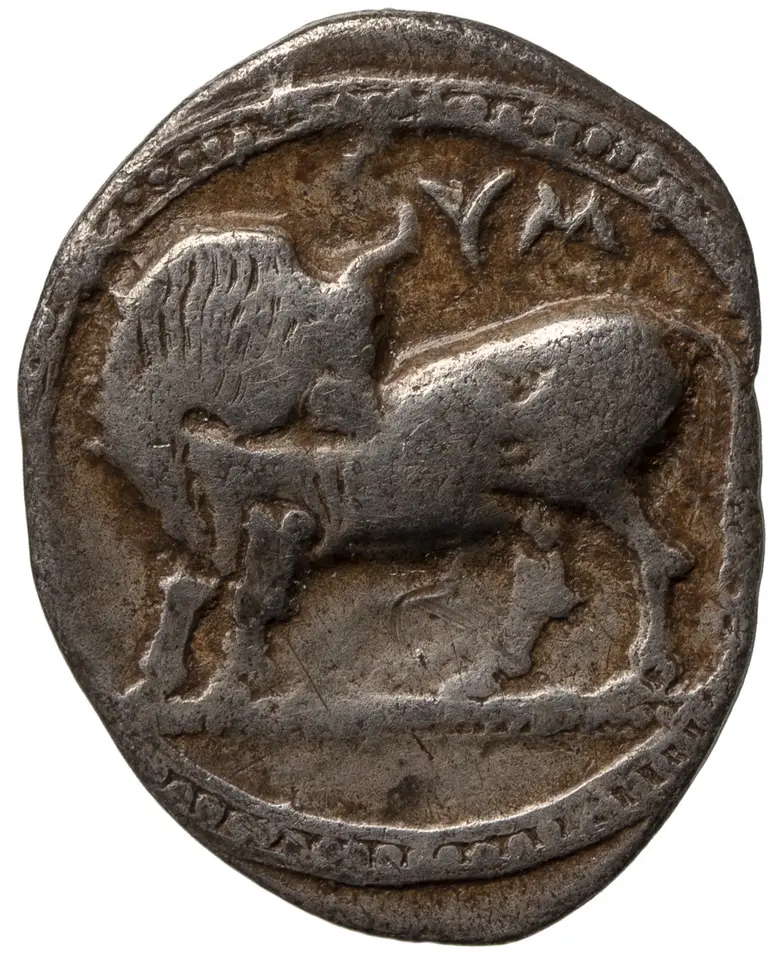 Münze