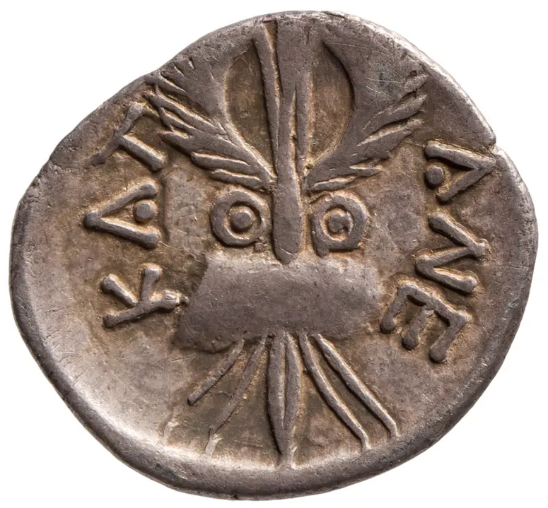 Münze