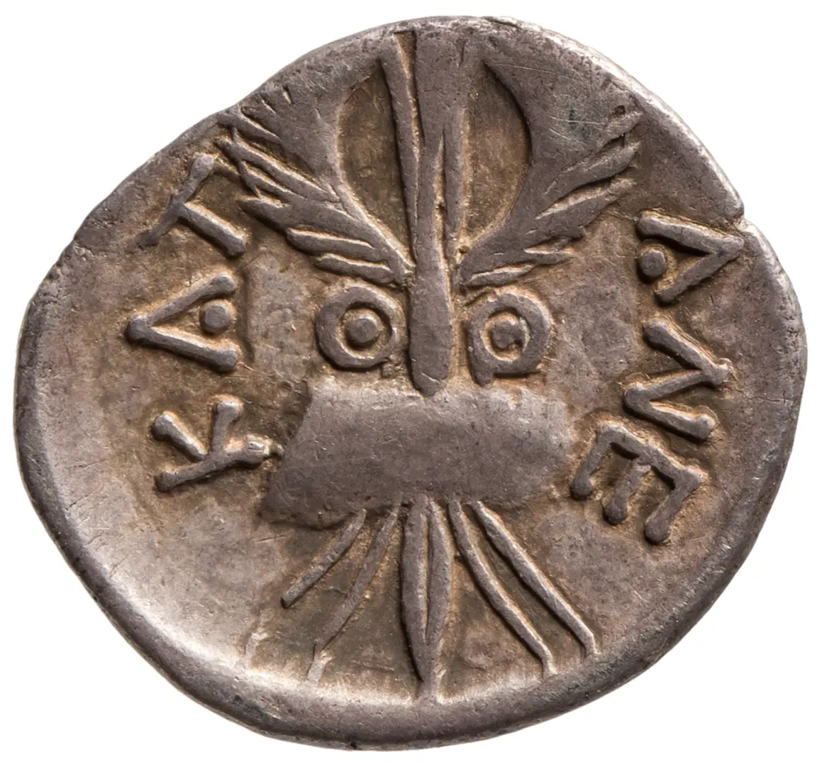Katania