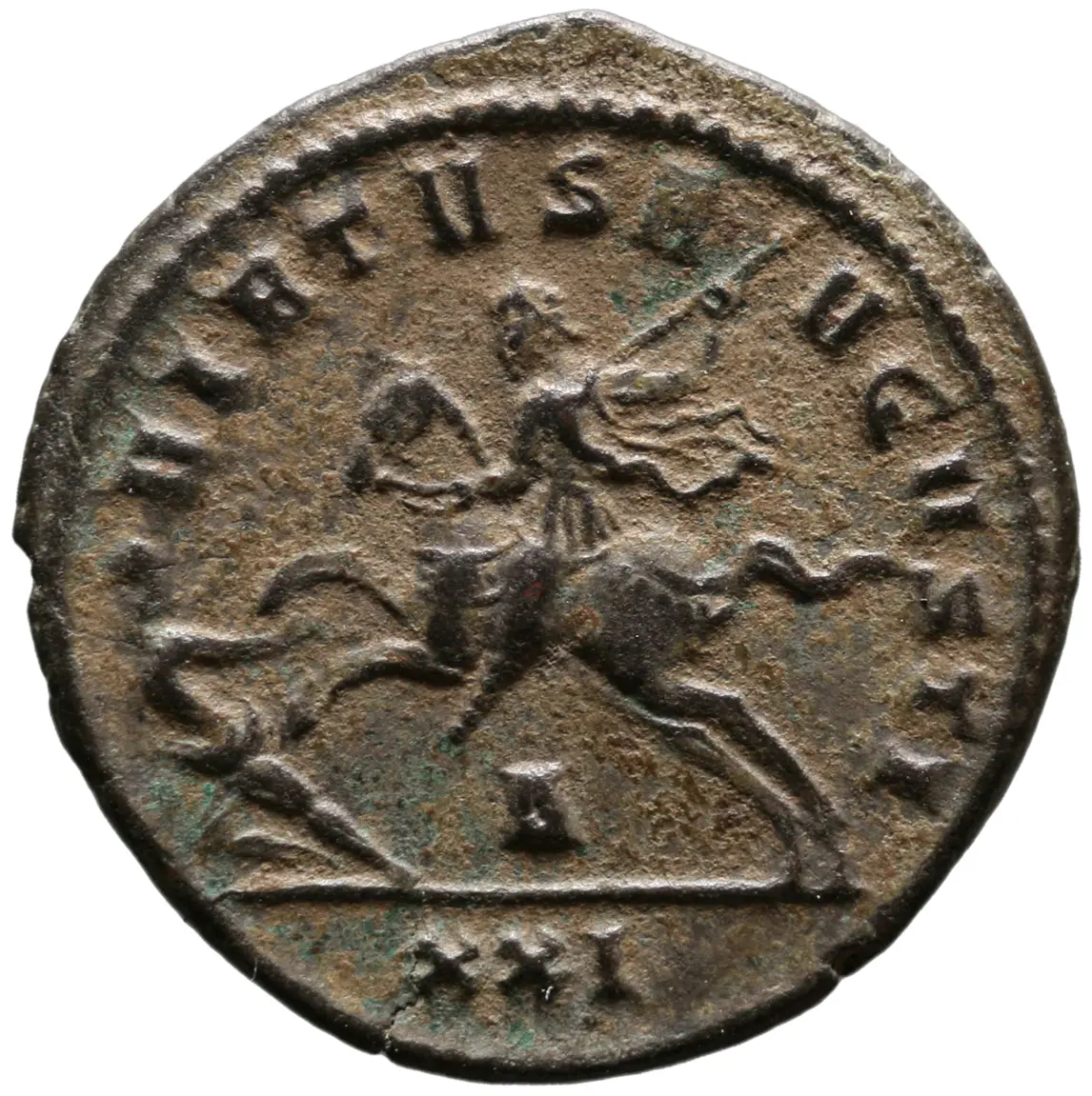 Probus